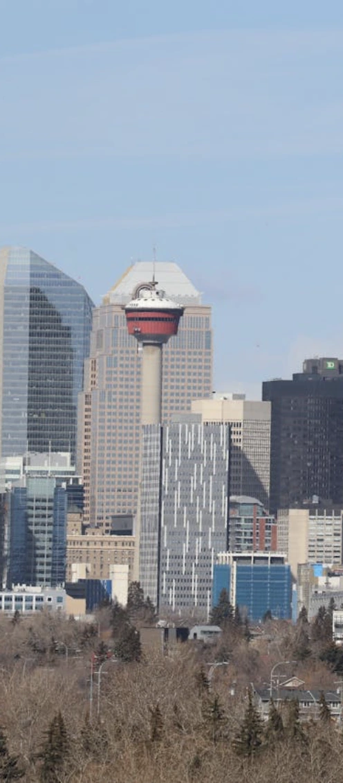 Calgary legal translation agency